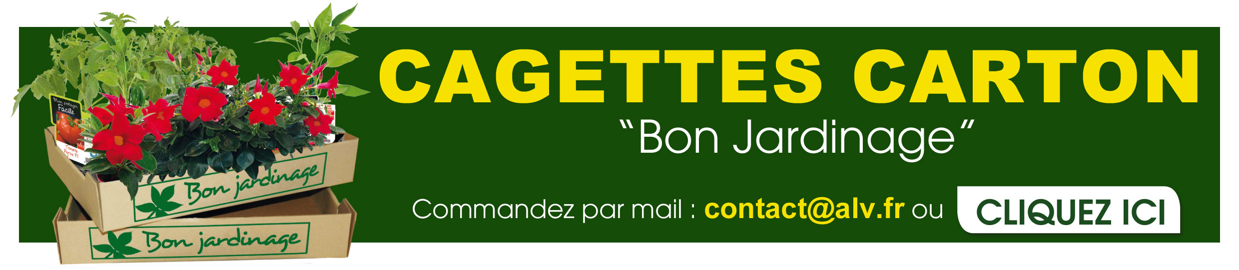 bandeau-cagettes-carton-2025-ALV