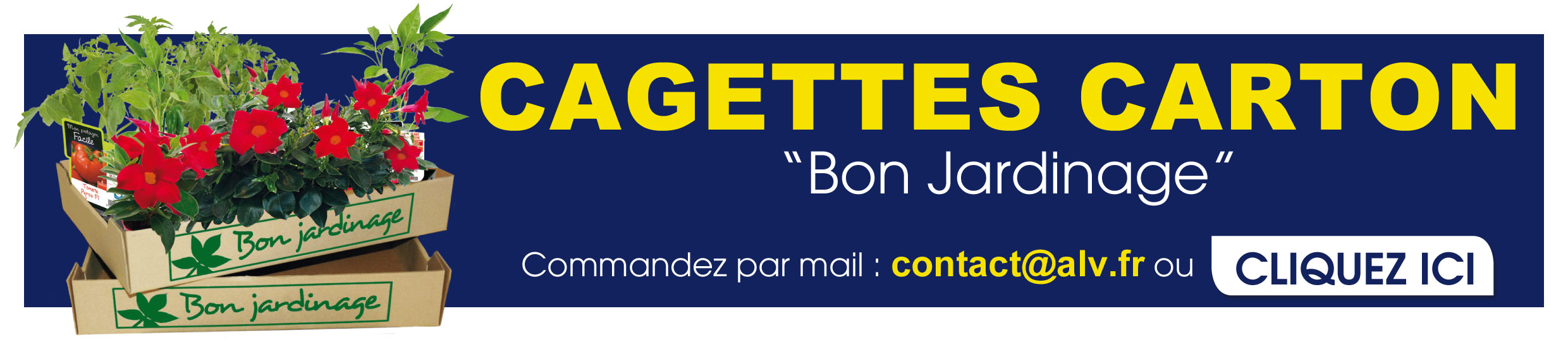 bandeau-cagettes-carton-2026