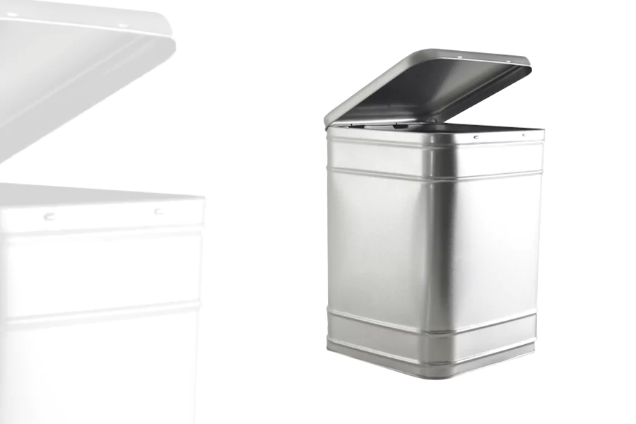 Grande Boîte de Stockage à Charnière 5,5 litres