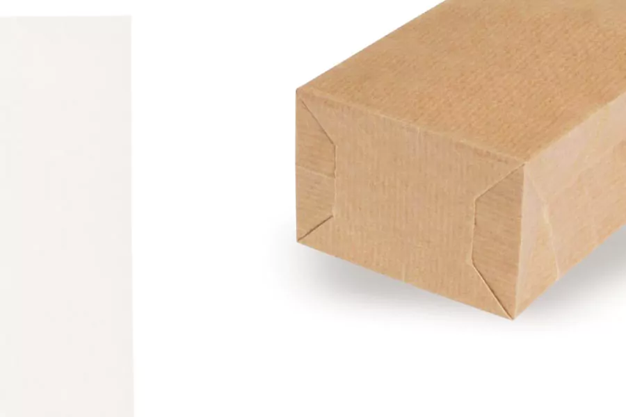 Sac Papier Kraft sans fenêtre (lot de 30) – Image 2