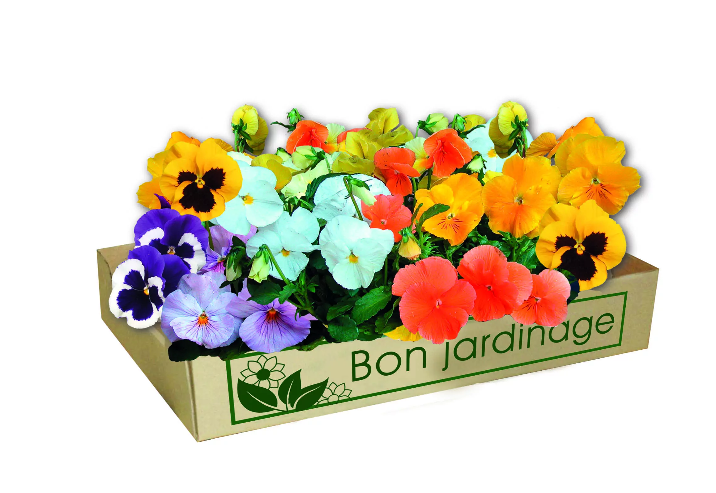 cagette bon jardinage avec fleurs Automme 2024