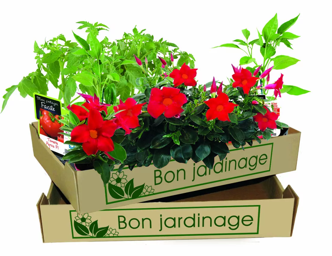cagette bon jardinage avec fleurs Printemps 2024