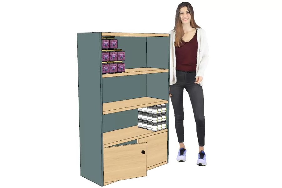 Armoire Étagères Bois Basse Portes Basses Verte